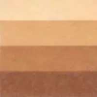 Grafická barva Charbonnel 200ml – burnt umber