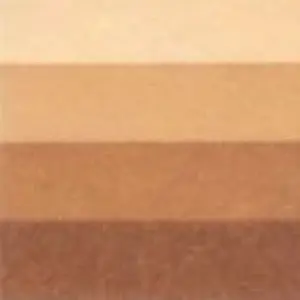 Grafická barva Charbonnel 200ml – burnt umber