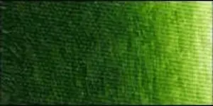 Olejová barva Old Holland 40ml – 292 Sap Green Lake Extra