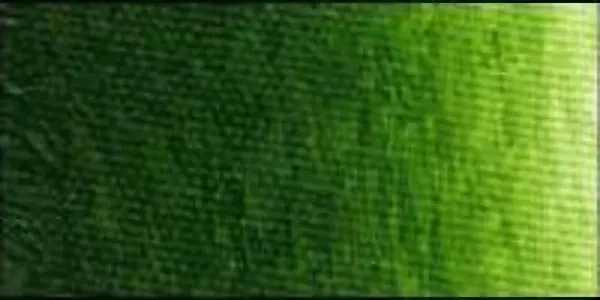 Olejová barva Old Holland 40ml – 292 Sap Green Lake Extra