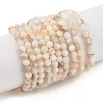 Natural Freshwater Shell Beads Strands