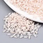 FGB 2-Hole Glass Seed Beads