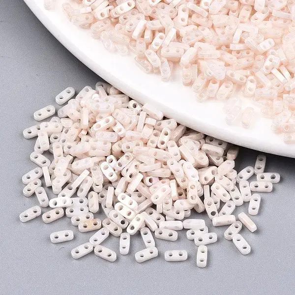 FGB 2-Hole Glass Seed Beads