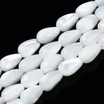 Natural Trochid Shell/Trochus Shell Beads Strands