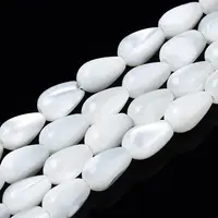 Natural Trochid Shell/Trochus Shell Beads Strands