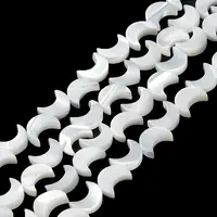 Natural Trochus Shell Beads Strands