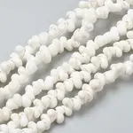 Natural Spiral Shell Beads Strands