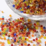 12/0 Transparent Colors Frosted Round Glass Seed Beads