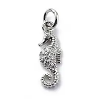 Brass Micro Pave Cubic Zirconia Charms