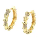 Rack Plating Brass Micro Pave Clear Cubic Zirconia Hoop Earrings