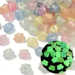 Luminous Transparent Acrylic Beads