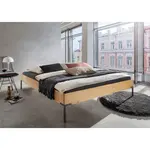 Livetastic FUTONOVÁ POSTEL, 180/200 cm, barvy smrku