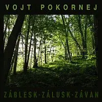 Vojt Pokornej – Záblesk, zálusk, závan
