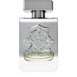 Victory Silver parfémovaná voda unisex 100 ml