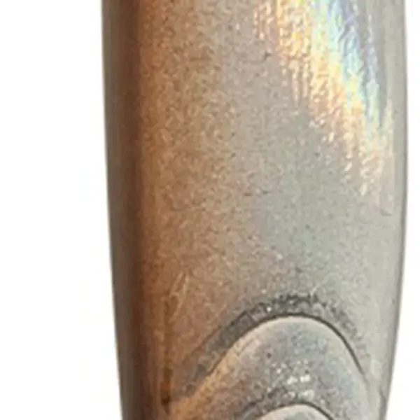 Saenger pilker aquantic red eye br-100g