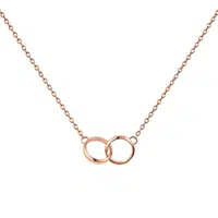 Daniel Wellington Krásný bronzový náhrdelník Elan Unity DW00400166