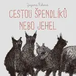 Jana Štvrtecká – Říhová: Cestou špendlíků nebo jehel