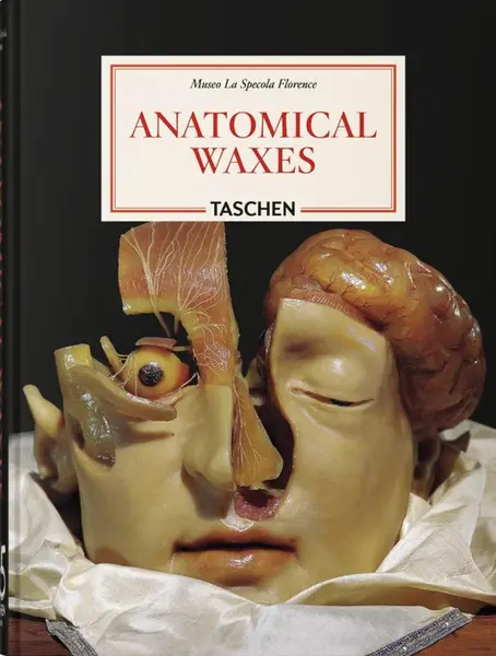 Anatomical Waxes. 45th Ed. - Poggesi Marta