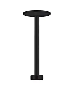 Axor One - Sprchové rameno stropní, 30 cm, matná černá 48496670