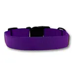 pafdog® Obojek pro psy FIALOVÝ 11781/M