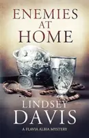 Enemies at Home - Lindsey Davisová