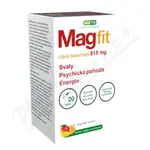 Magfit 15mlx20 sáčků Mango a pomeranč