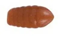 Saenger ms range gumová nástraha larva hnedá lb /20ks