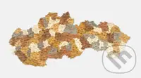 Drevená mapa Slovenska (100 x 50 (okresy))