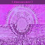 Tajemství prasíly 2 (Zjevování) (O dračích žilách a planetární síti životní energie) - kniha z kategorie Spiritualita