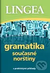 Gramatika současné norštiny (s praktickými příklady)