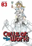 Cells At Work! 3 - Akane Shimizu - kniha z kategorie Komiksy