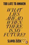 Too Late to Awaken (What Lies Ahead When There is No Future?) - kniha z kategorie Filozofie