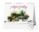 Pokojové květiny 2026 - stolní kalendář
