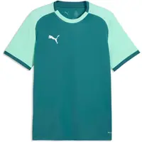 Puma TEAMLIGA 26 MATCHDAY JERSEY Pánske športové tričko, zelená, veľkosť