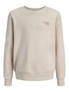 Jack & Jones Junior Mikina 'Roar'  béžová / bordová