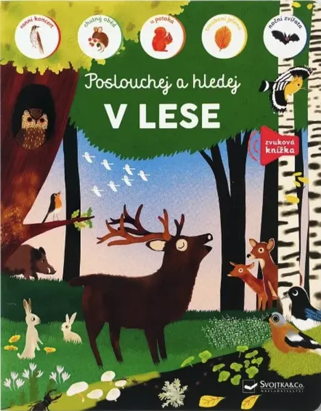V lese - poslouchej a hledej