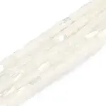 Natural Freshwater Shell Beads Strands