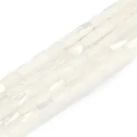 Natural Freshwater Shell Beads Strands