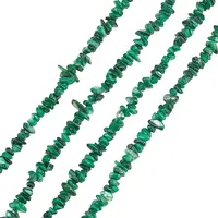 Natural Freshwater Shell Beads Strands