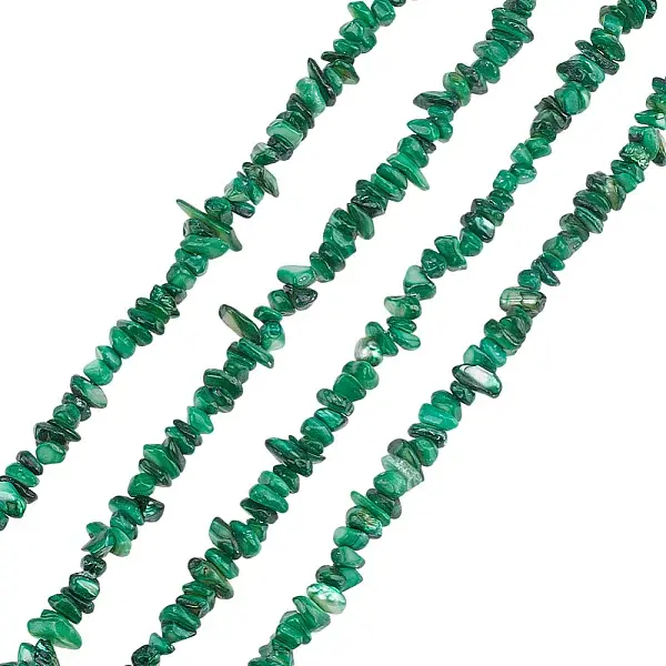 Natural Freshwater Shell Beads Strands