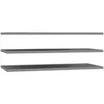 Carryhome SADA VKLÁDACÍCH POLIC, 97,8/2,2/42 cm