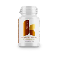 KOMPAVA Boswellia serrata 305 mg 90 kapslí