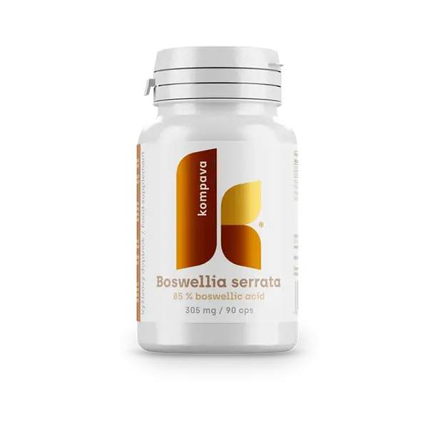 KOMPAVA Boswellia serrata 305 mg 90 kapslí