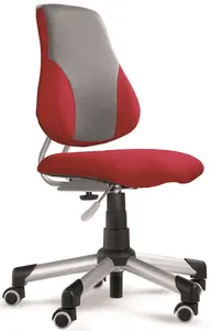MAYER Dětská rostoucí židle ACTIKID 2428 A2 41
