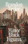Minor Black Figures - Brandon Taylor - kniha z kategorie Romantická