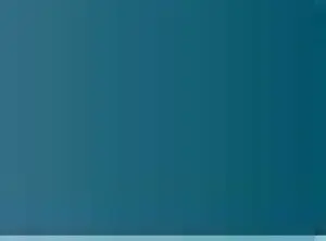 Pastel Caran d'Ache Neocolor II 008 Greyish black