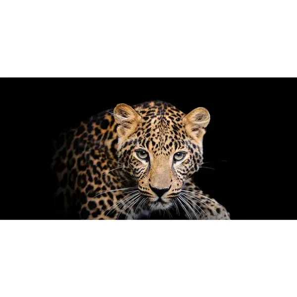 MALBA NA PLÁTNĚ, zvířata, 115/55/3 cm