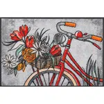 Esposa DVEŘNÍ ROHOŽKA, 50/75 cm