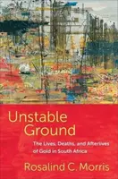 Unstable Ground - Rosalind C.  Morris