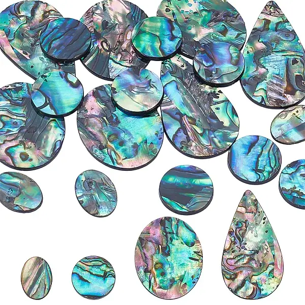 18Pcs 4 Styles Natural Paua Shell Cabochons